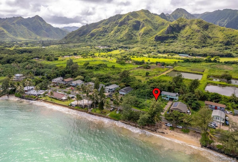 Majestic Koolau Mountains in the background.