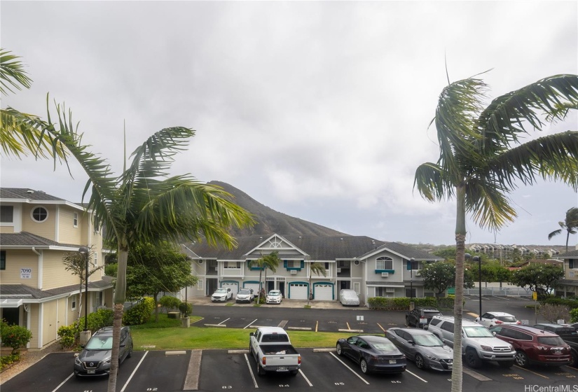 View from the living room.