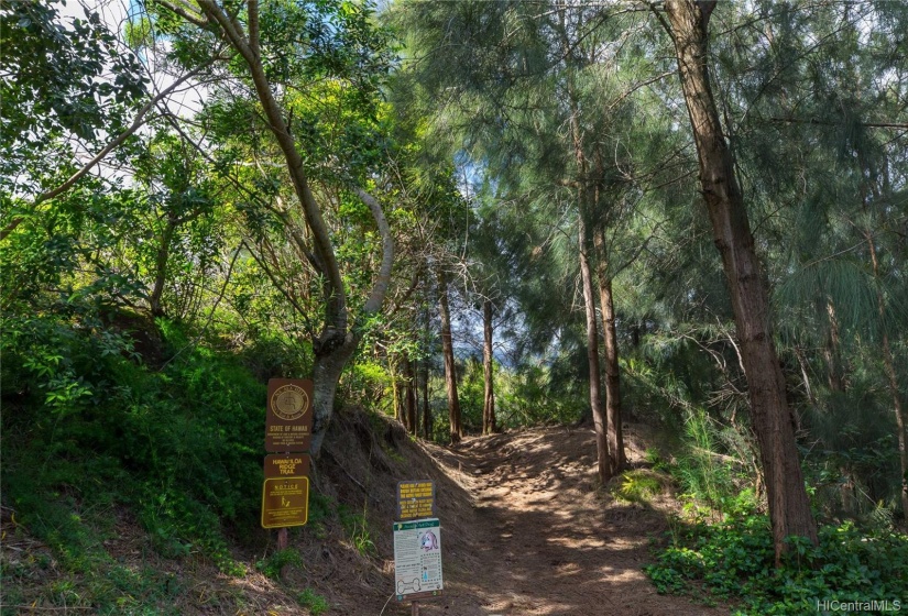 Enjoy this Amazing hiking trail at the top of the hillside.