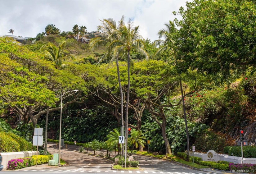 Hawaii Loa Ridge's attractive entry from Highway. Gated with 24 hour security, controlled access monitoring, private roads, tennis courts, park & more.