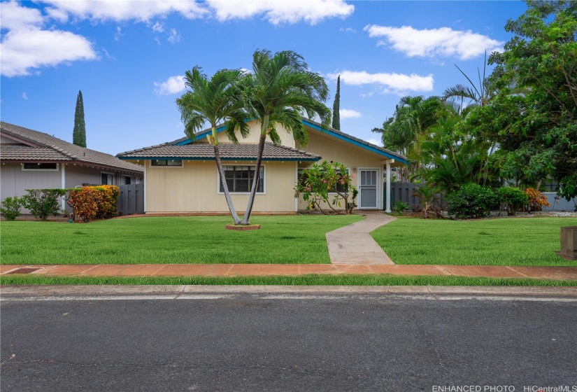 Enhanced grass- will become this green again with enough water and TLC.- This is 808Living!