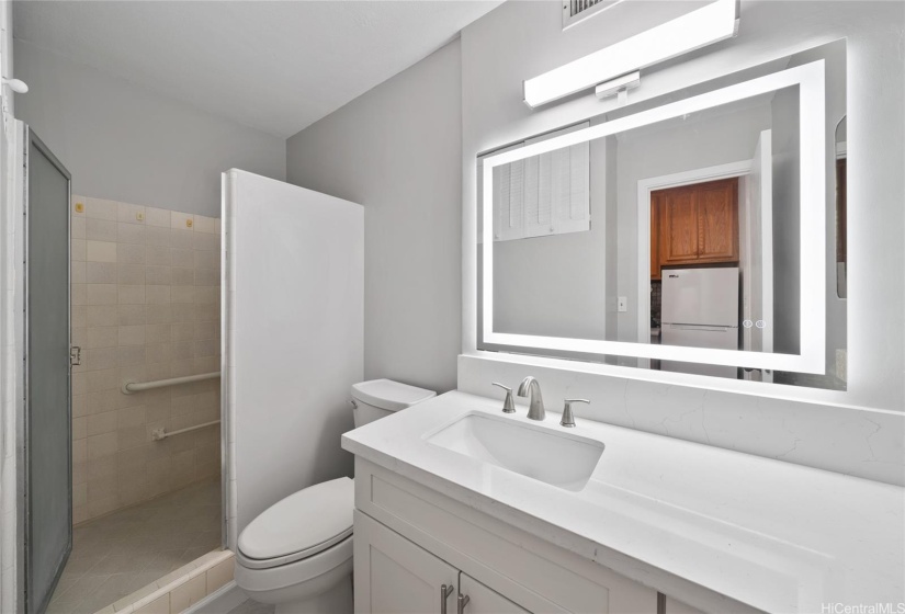 New vanity w/quartz countertop, lighted mirror in both warm and cool temps, new fixtures.