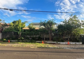 Front view with mature plants and fruit trees