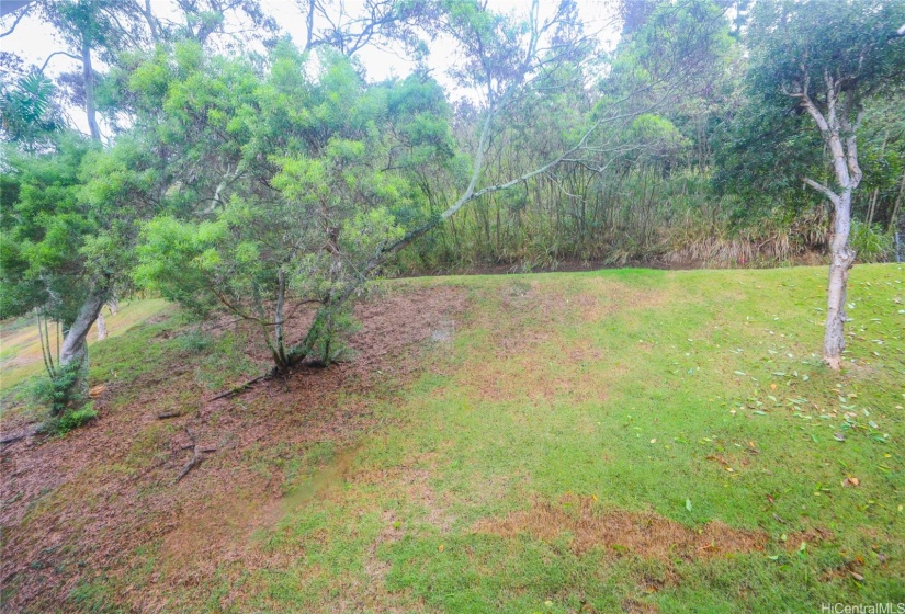 Serene view from second bedroom