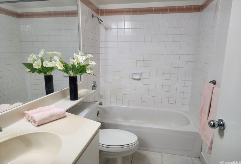 Master bath with re-glazed tub facing hallway.