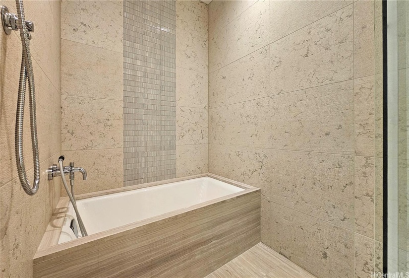 Primary Bathroom Soaking Tub and side Shower