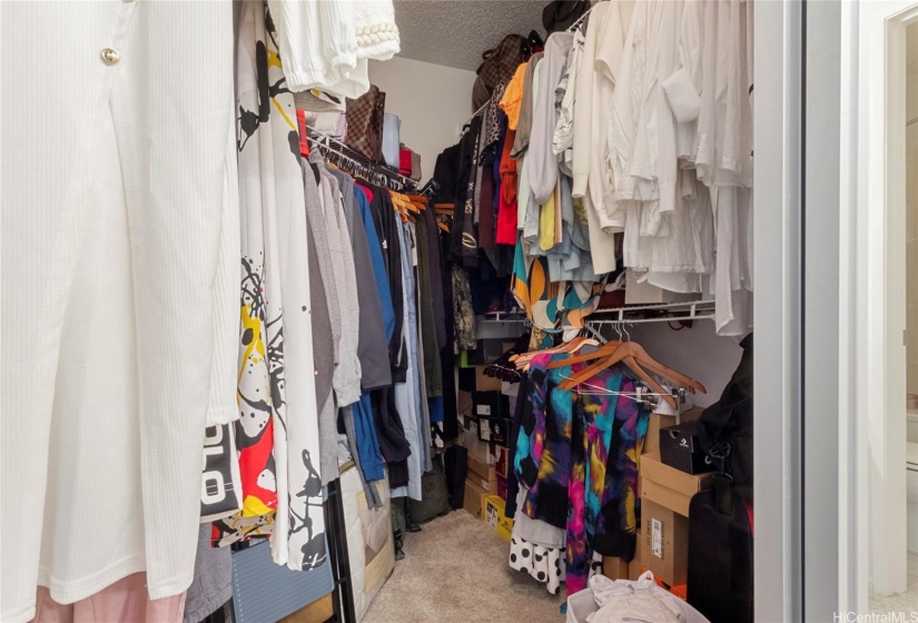 Large Walk-In Closet.