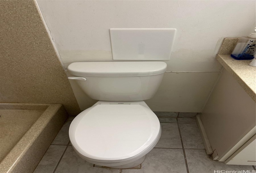 New Toilet