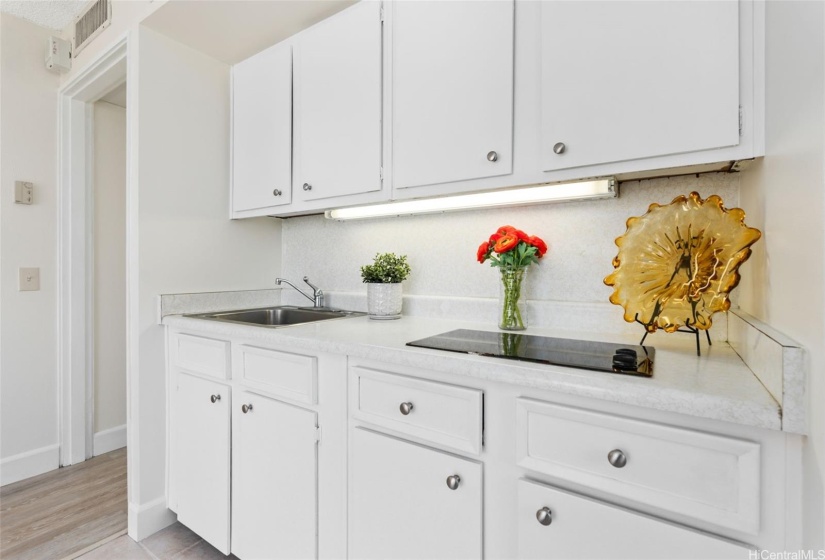 Super cute kitchen w/burner, sink and brand new refrigerator!