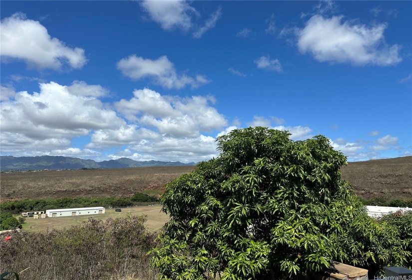 View from Downstairs Yard and Lanai Area