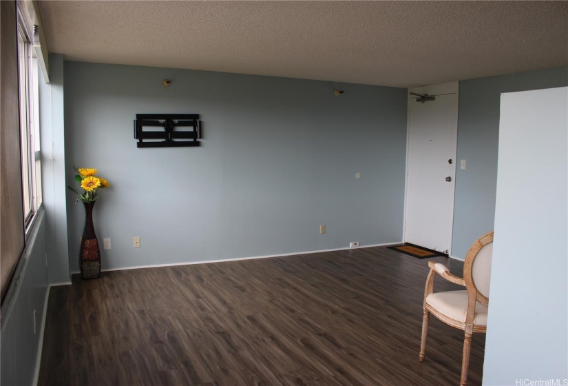 Living room showing the main entrance door.