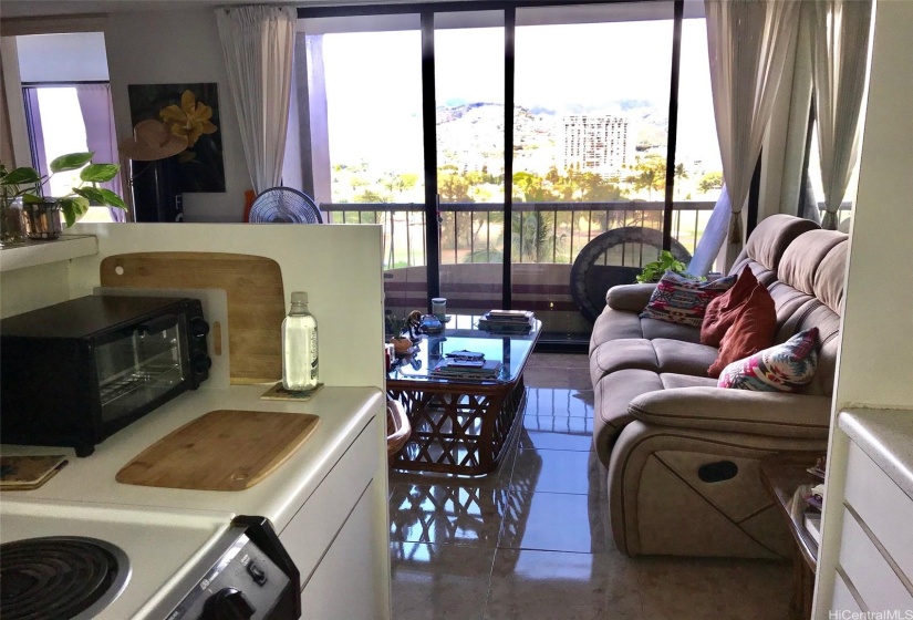 VIEW FROM THE KITCHEN TOT HE LIVINGROOM