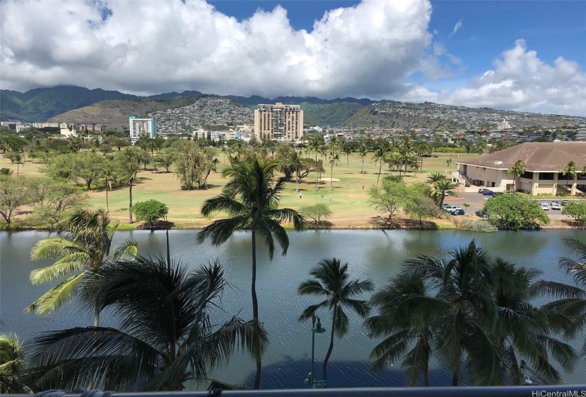 the view
