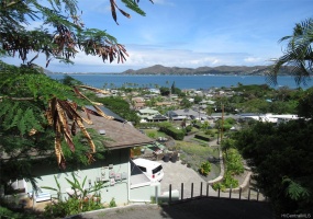 View From Top Of Driveway