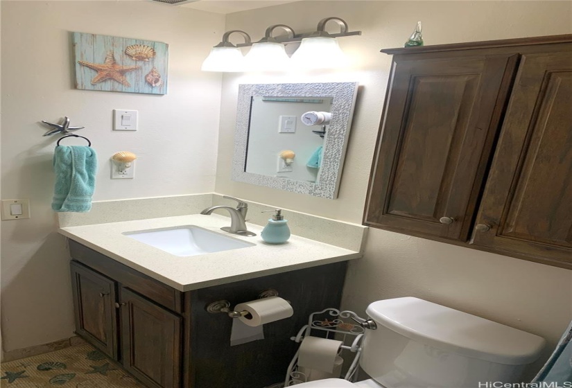 Bathroom from the shower area