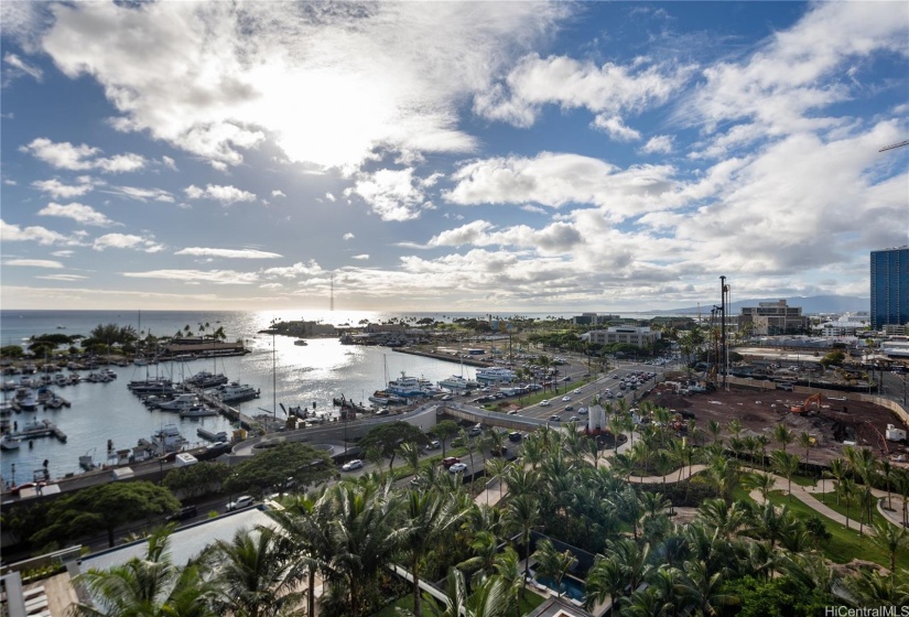 Ocean and Park View from Unit 1109