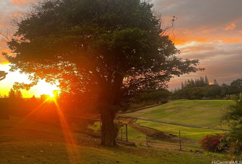 Sunsets welcome you home in the evening!