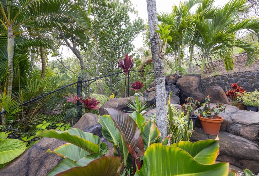 Lush tropical landscaping