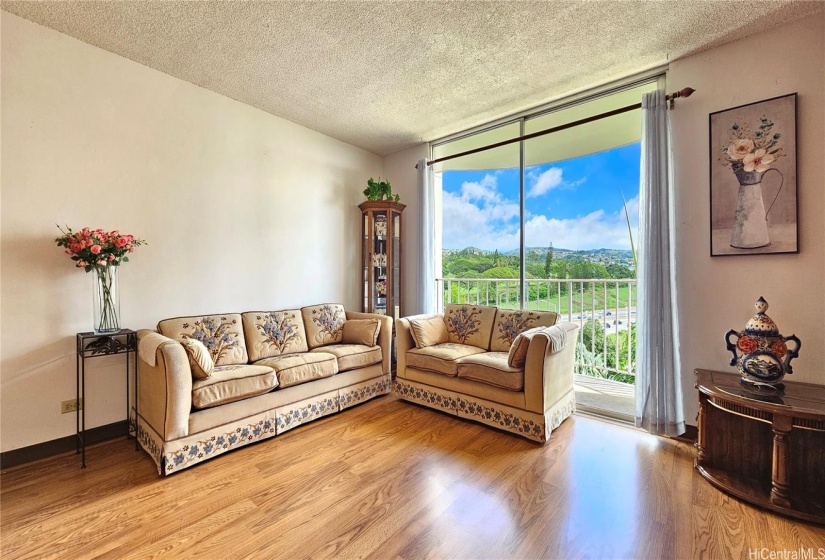 View as you walk in the door