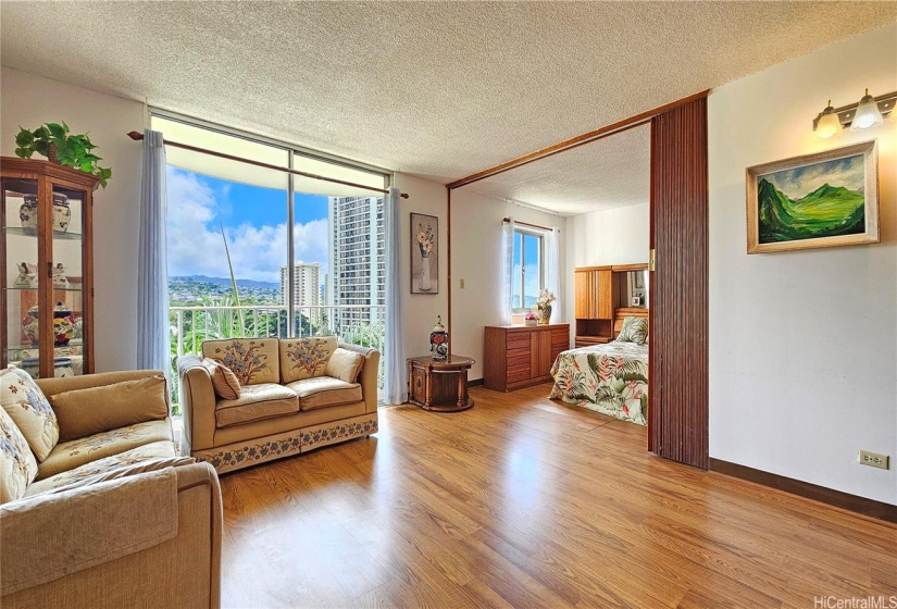 Living room and to the bedroom