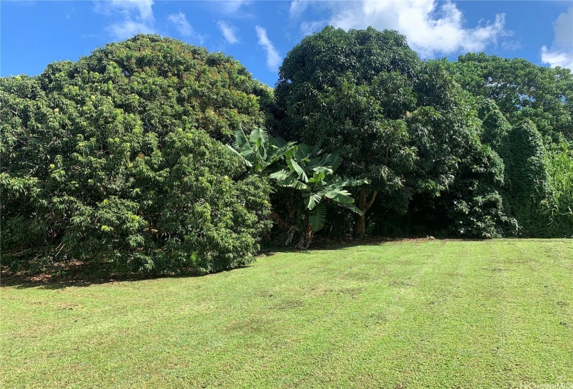 Embrace a legacy and create a lasting sanctuary on Okana Road—a verdant Windward oasis ready to be called home. **Note: photo from 2022**