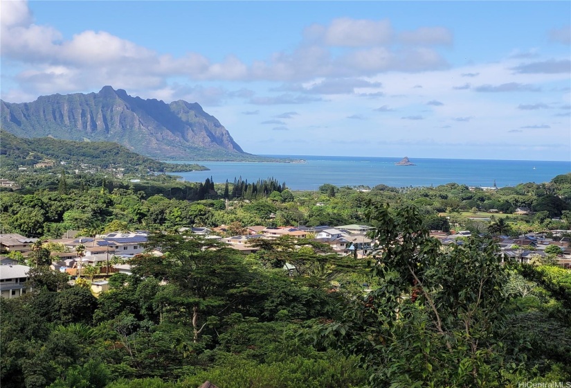 View of the Kaneohe bay and Chinaman's Hat from the property.