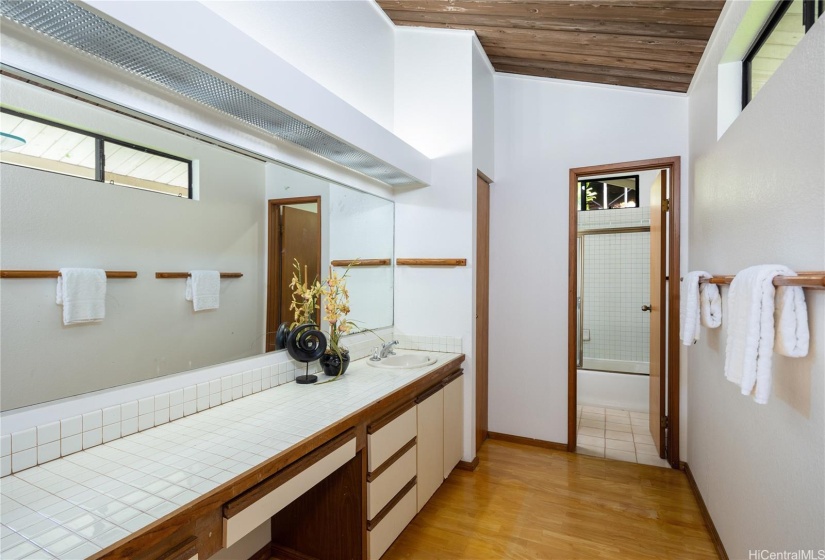 Another look at the primary bath.