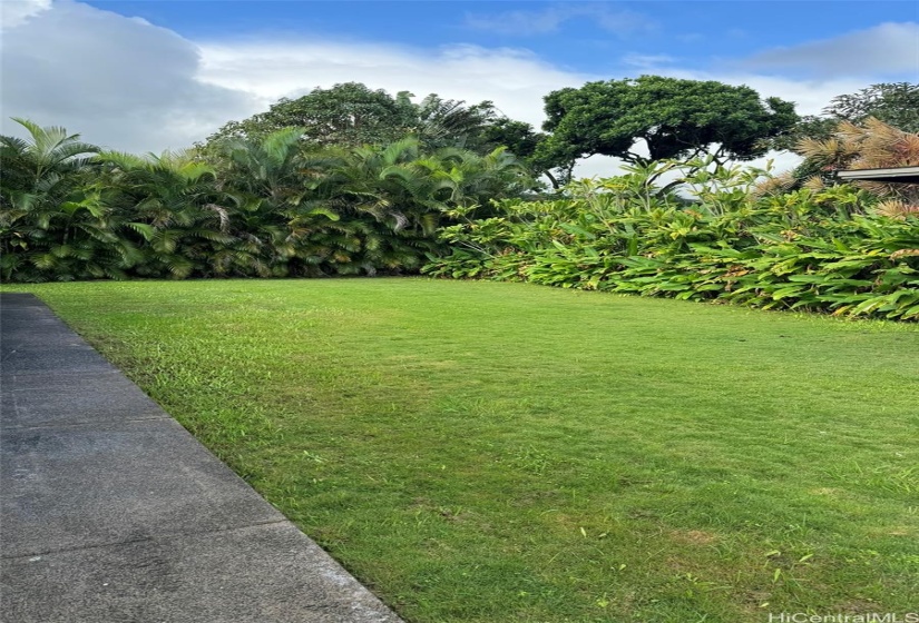 BACKYARD