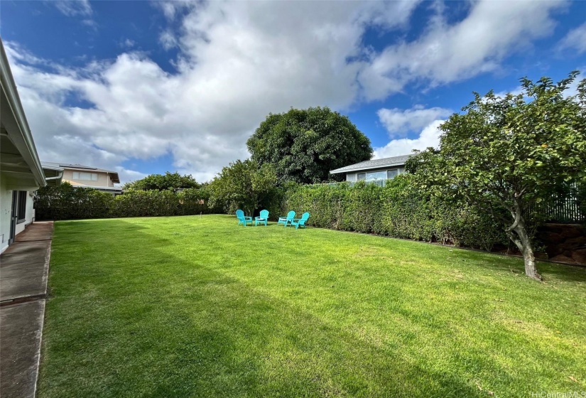 Lots of privacy in the backyard. Mature fruit trees.