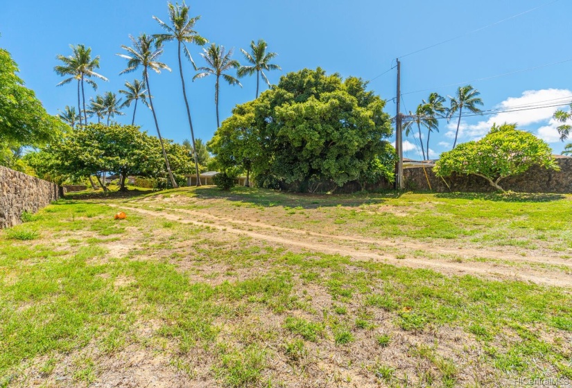 Lots of pretty Hawaiian trees for extra privacy.