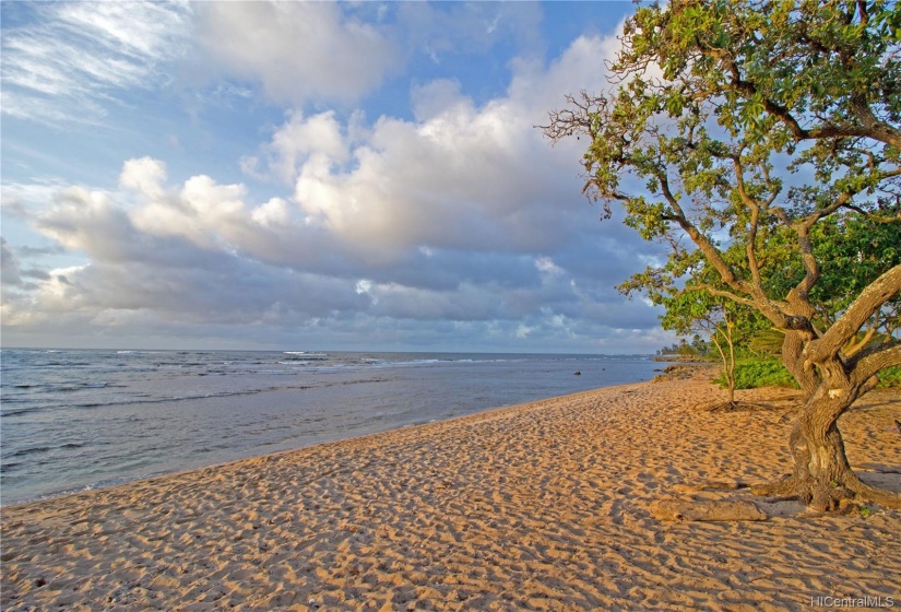 East view from the beach closest to Walikanahele