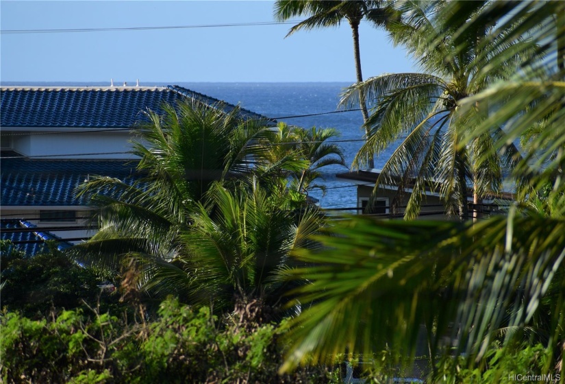 Better ocean view potential from elevated structure.