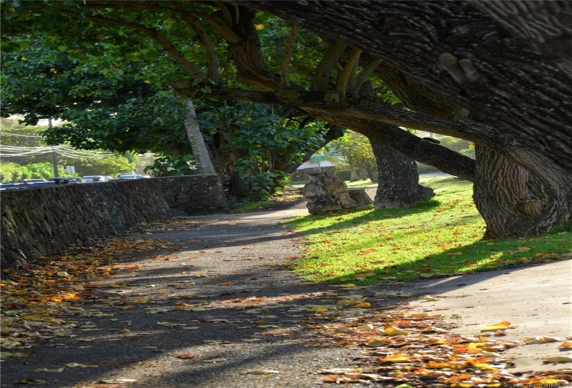 Bike path from Sunset Beach to Waimea Bay.