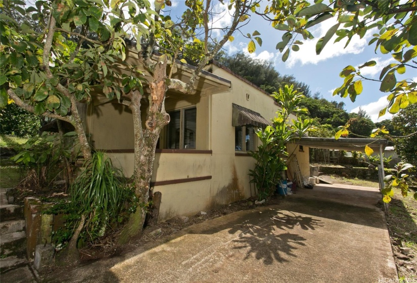 Carport and driveway