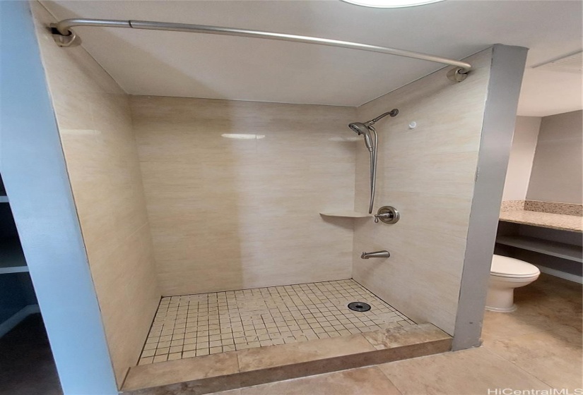 Walk-in shower stall