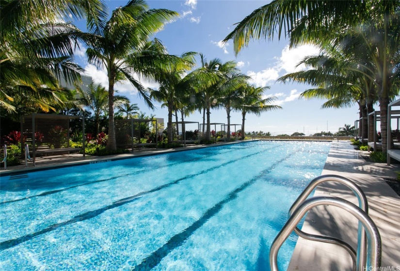 Lap Pool