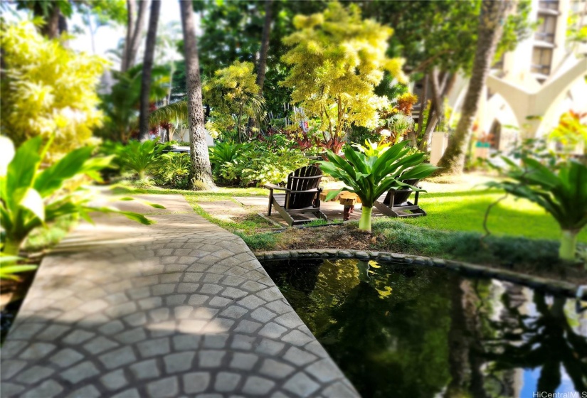 Koi pond among the lush grounds
