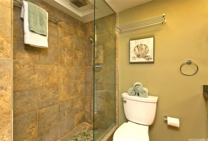 Frameless glass walk-in 