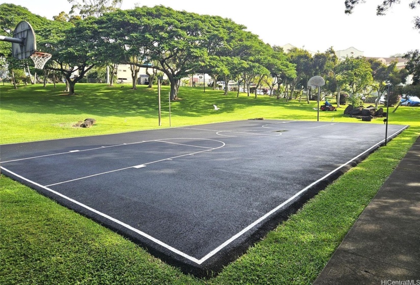 Regency Park basketball court