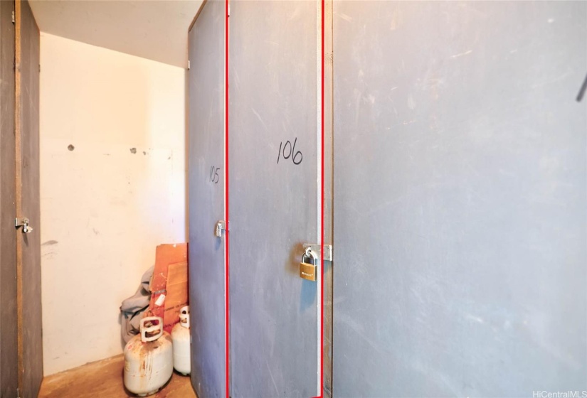 Extra storage closet