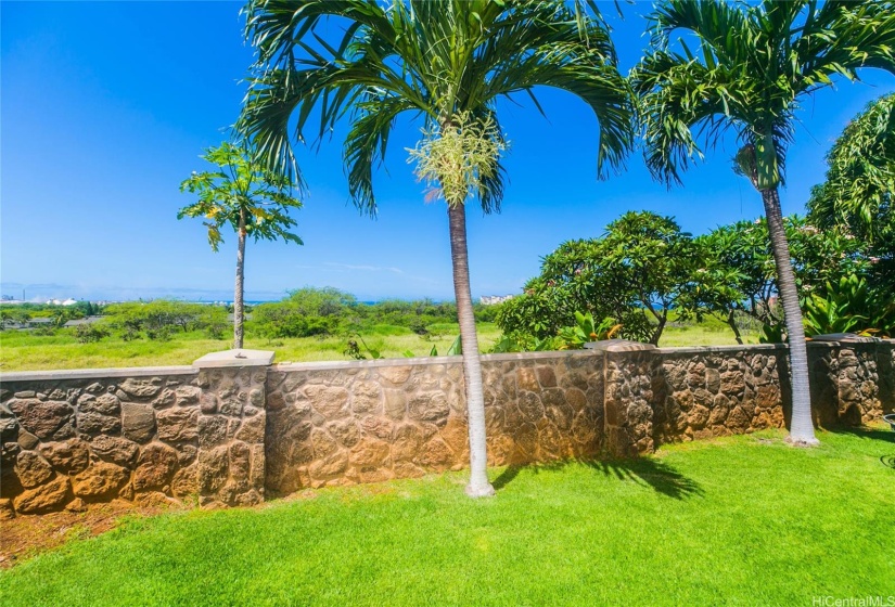 Backyard view