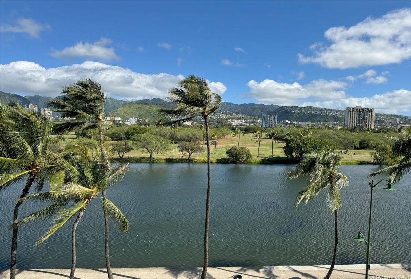 VIEW FROM LIVINGROOM
