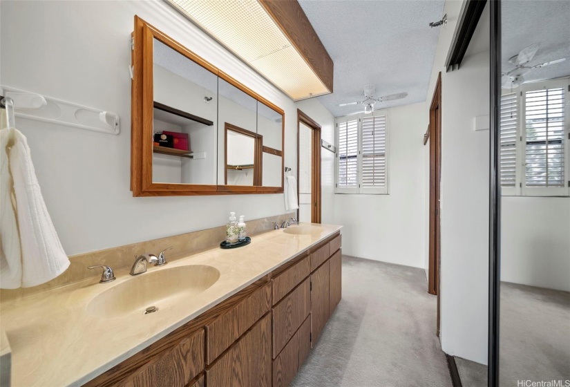 Master bathroom vanity & closet