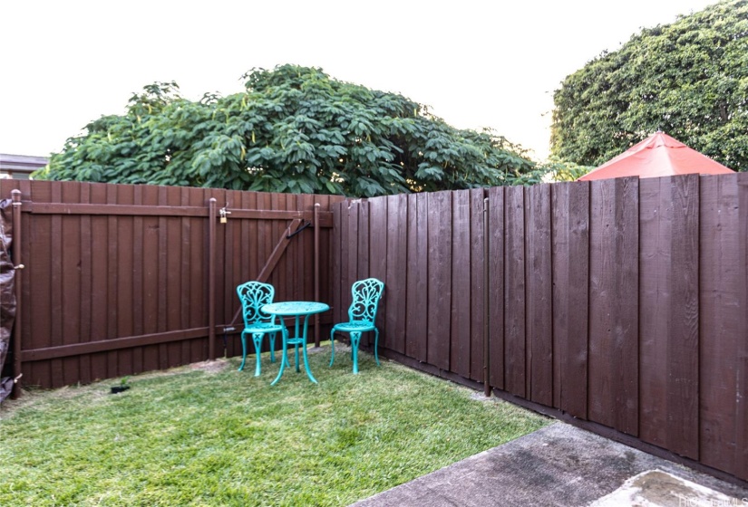 Back yard