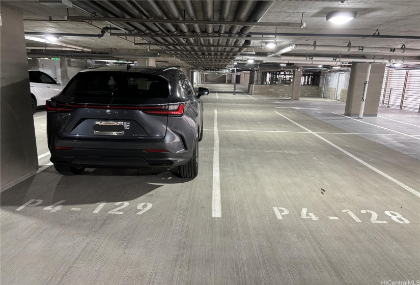 Side-by-Side Standard Parking Stalls