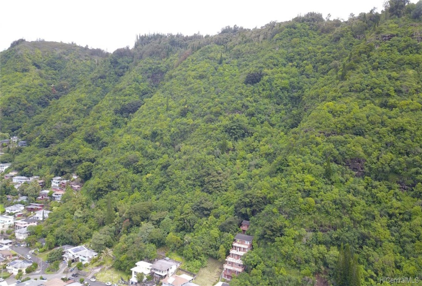 Looking up valley to lot. Lot to left of stair step house.