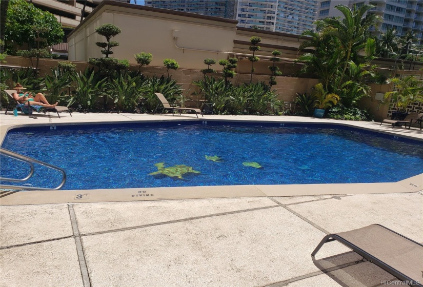 Take a dip in the refreshing pool on the building's grounds.