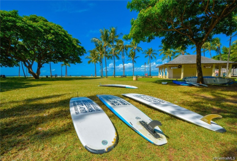 grab your surfboard and head to Waikiki beach!