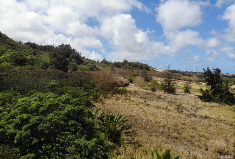 Blue sky and fertile land