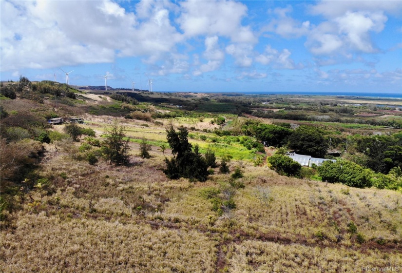 Beautiful NS Oahu